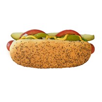 Chicago Style Hot Dog